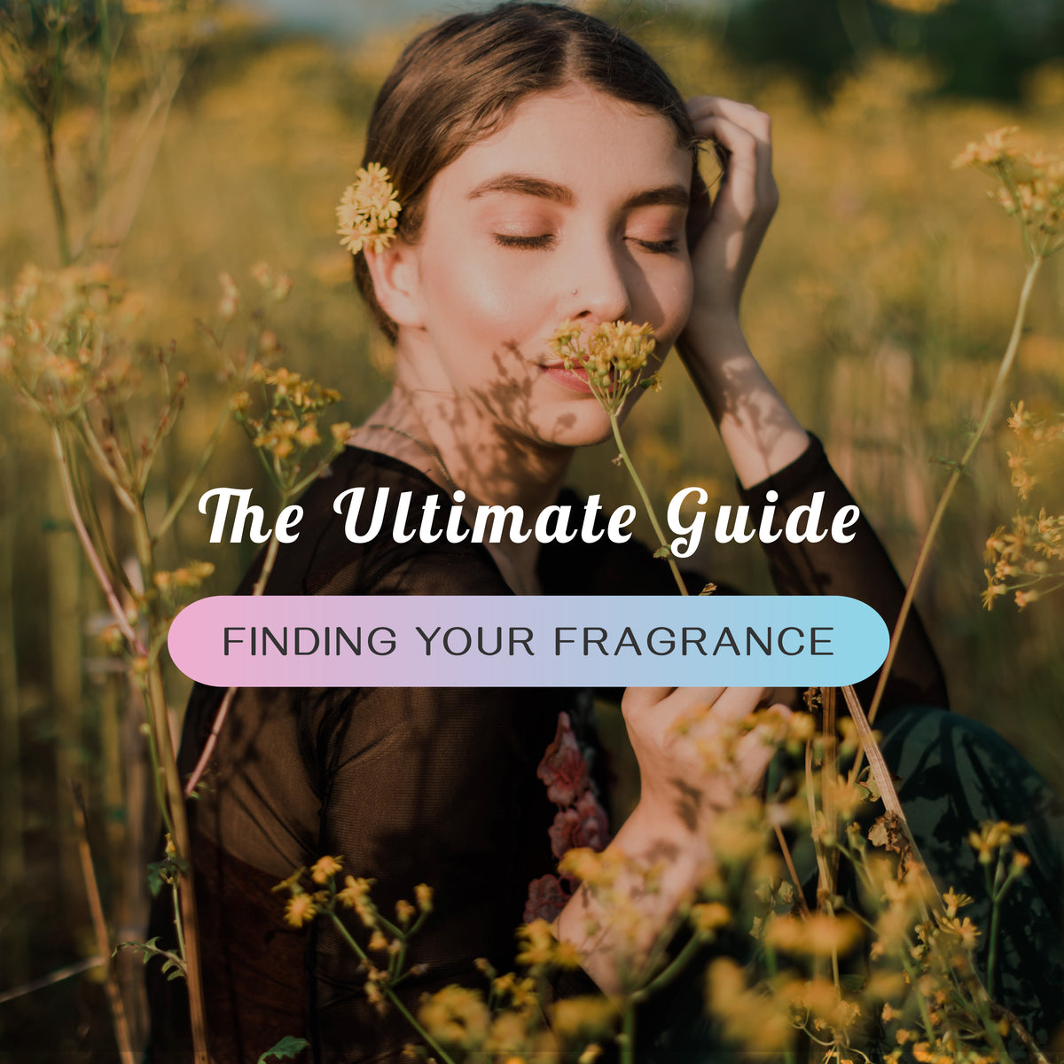 The Ultimate Guide To Finding Your Fragrance Refresh Wellness