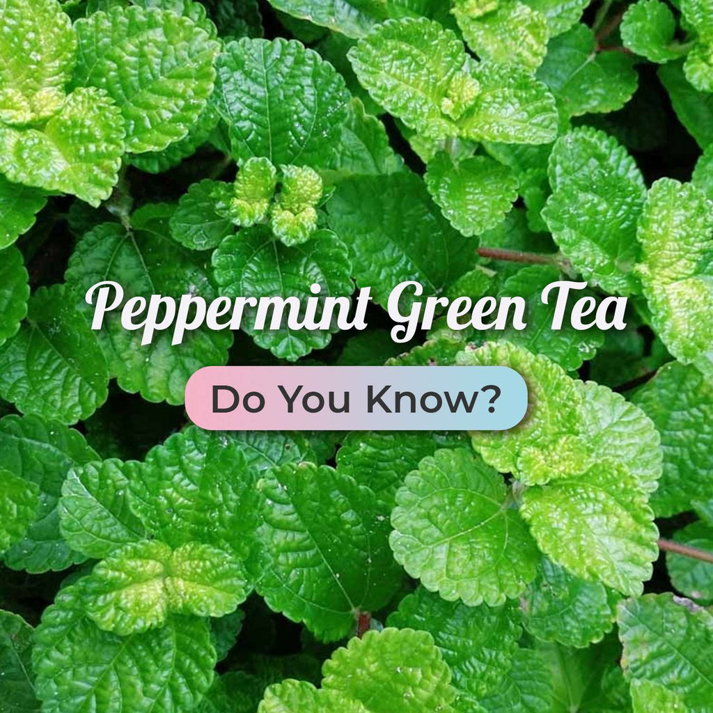 Incorporating Peppermint Green Tea into your daily routine